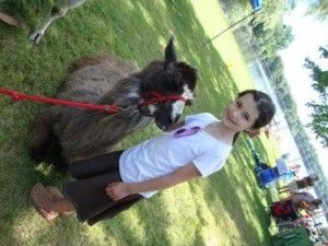 Little girl and an alpaca